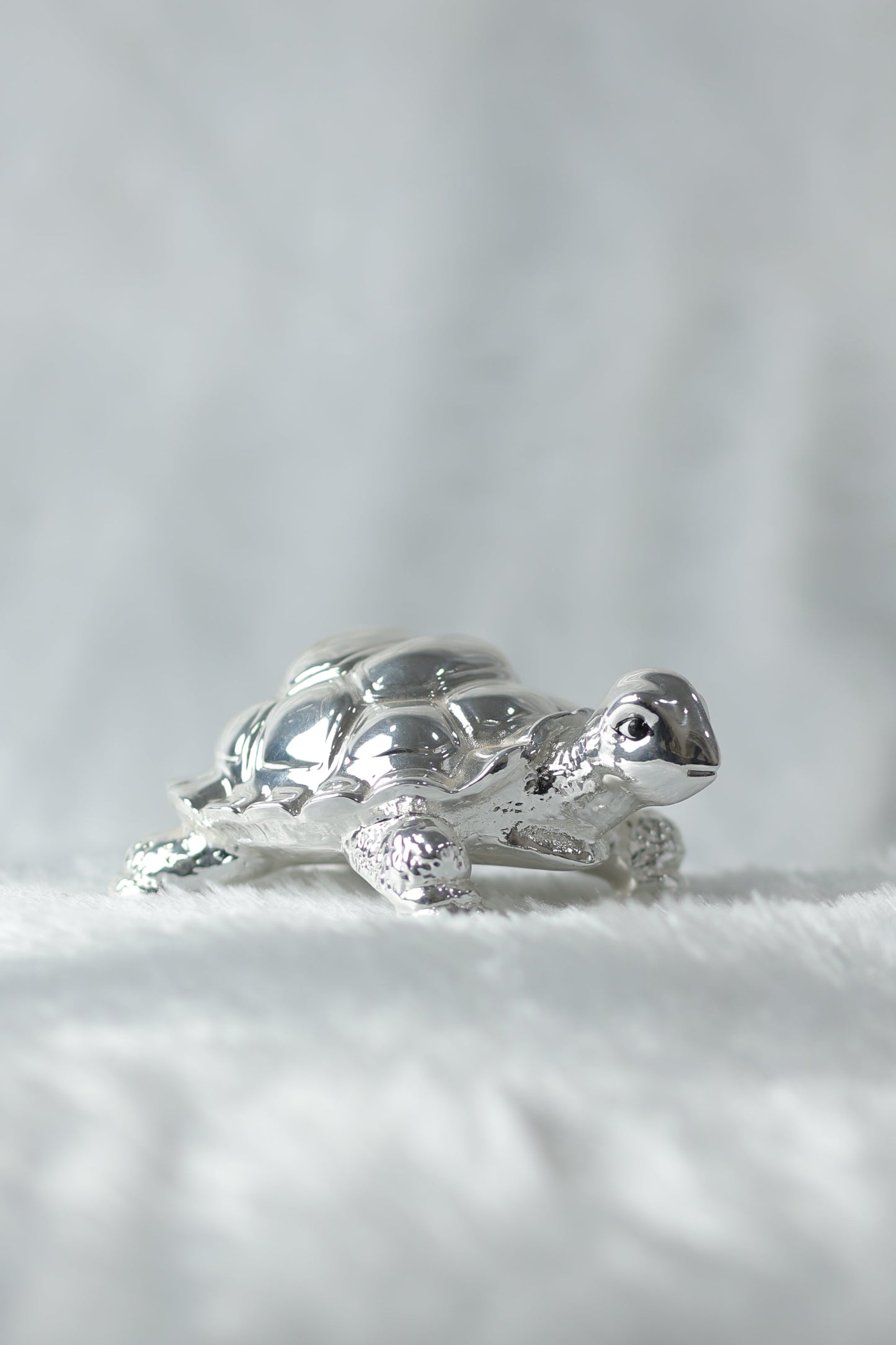 Silver Plated Tortoise|| Tortoise